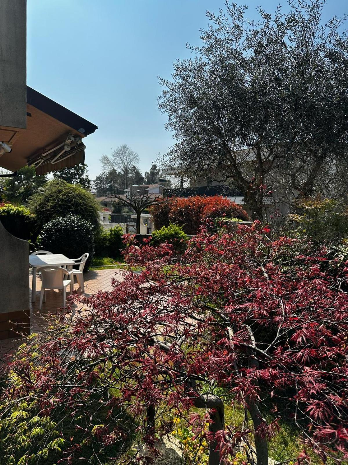 Villa Luisa Gorle Zewnętrze zdjęcie