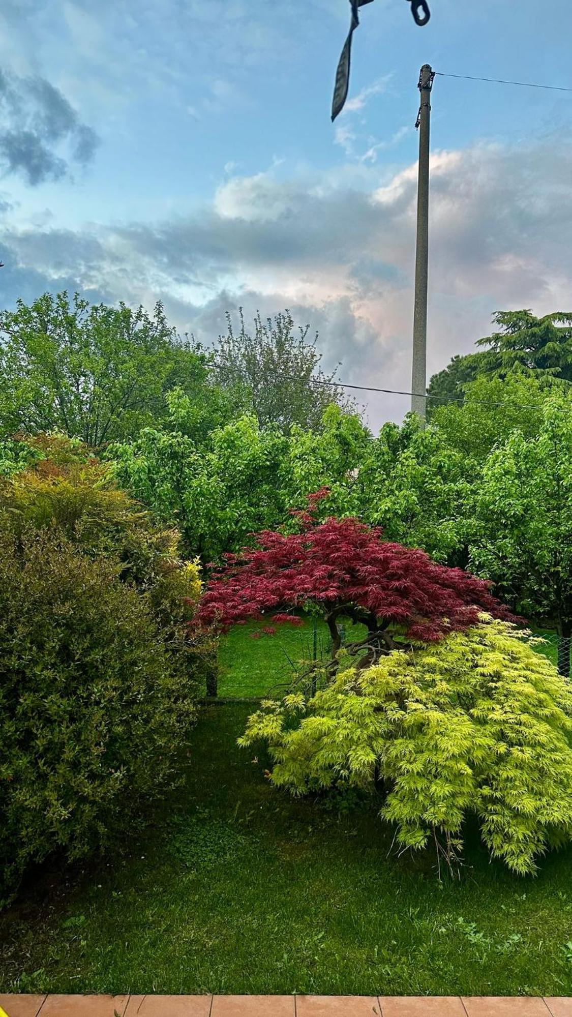 Villa Luisa Gorle Zewnętrze zdjęcie